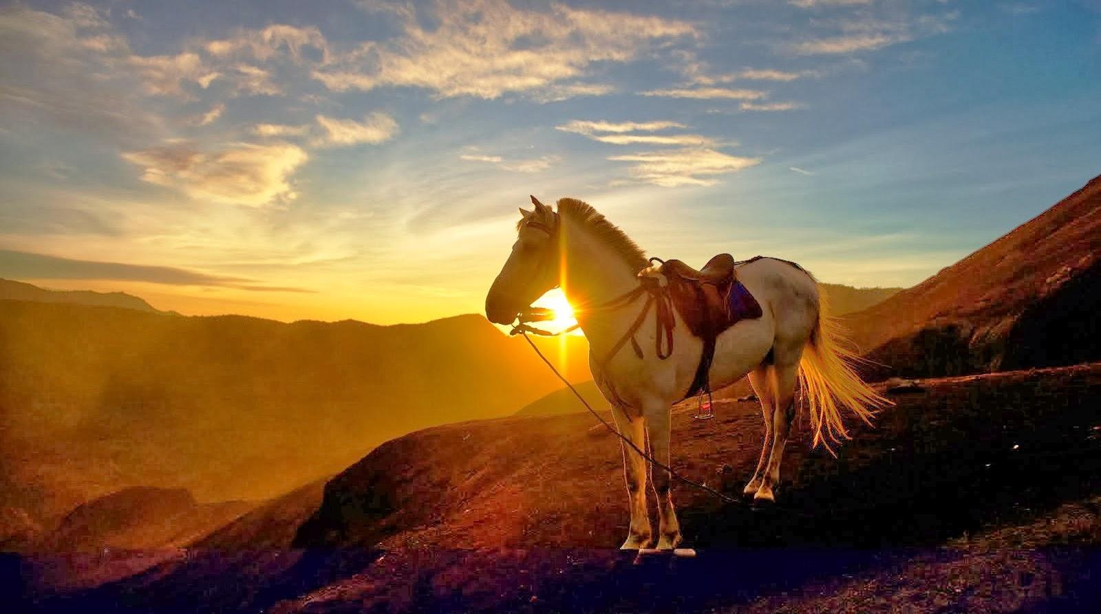 5 Spot Sunrise di Gunung Bromo